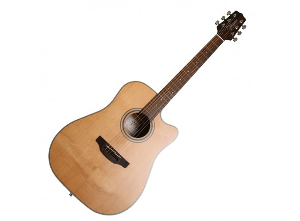 Takamine GD20CE-N Takamine GD20CE-N
